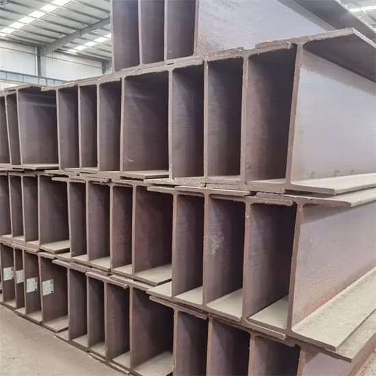 Bride BS/ASME/ANSI/DIN/En acier au carbone standard/acier inoxydable/acier allié forgé304/304L/316 Wn/So/menacé/plaque/prise/bride aveugle FF/FM/M/RF/T&G/Rj